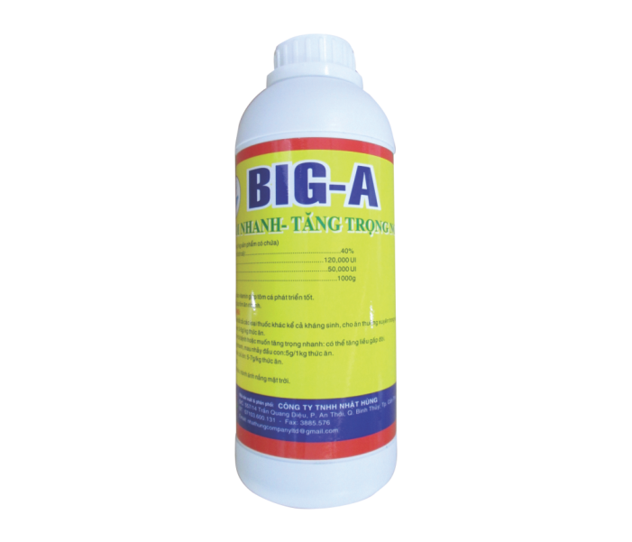 BIG-A