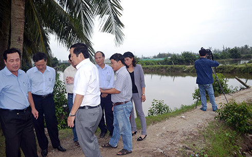 Quảng Nam điều chỉnh nhiều hạng mục dự án nuôi thủy sản tập trung