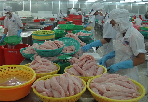 Brazil ngưng nhập khẩu cá tra của một công ty Việt Nam