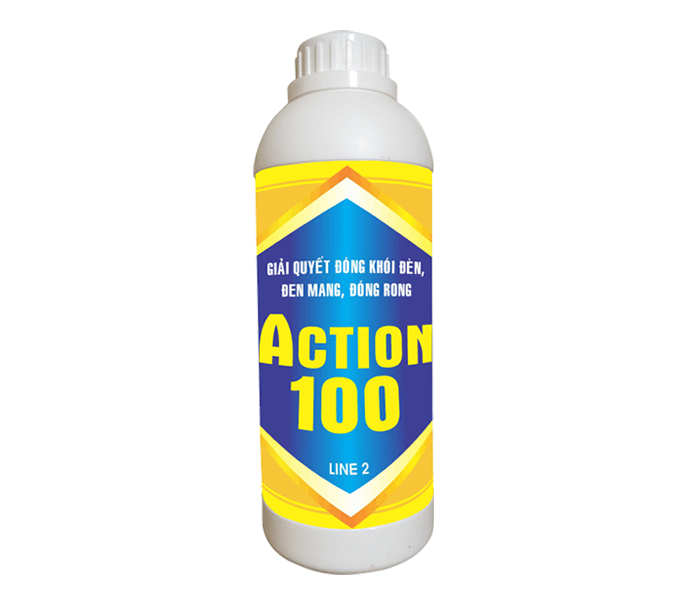 ACTION100