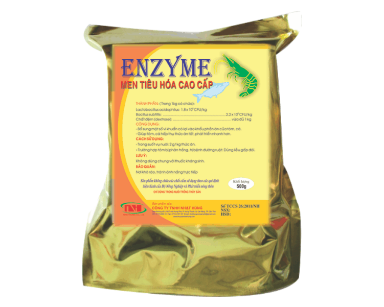 ENZYME